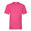 Variation picture for Fucsia