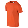 Variation picture for Orange