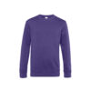 Variation picture for Radiant Purple