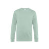 Variation picture for Aqua Green