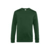 Variation picture for Bottle Green