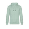 Variation picture for Aqua Green