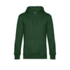 Variation picture for Bottle Green